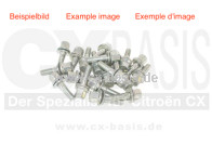 Radbolzen Alufelge CX (Satz) neu verzinkt 2. Wahl AT