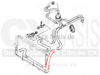 Kühlwasserschlauch CX 25 D (-> 5/81) Rohr <-> Wasserpumpe
