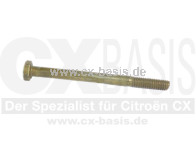 Schraube Bremskühlblech CX vorne