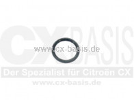 O-Ring Hebel Einspritzpumpe DPA/DPC CX C25 J5 D/TD