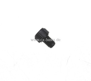 DSCN9980